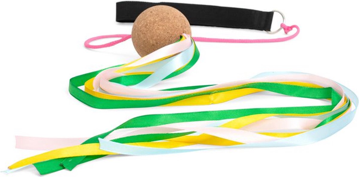 BS Toys Poi Singer