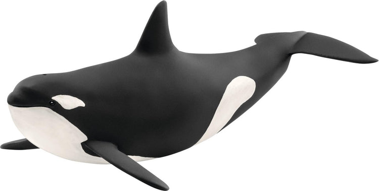 Schleich Wild Life – Killerwal – Spielfigur – Kinderspielzeug für Jungen und Mädchen – 3 bis 8 Jahre – 14807