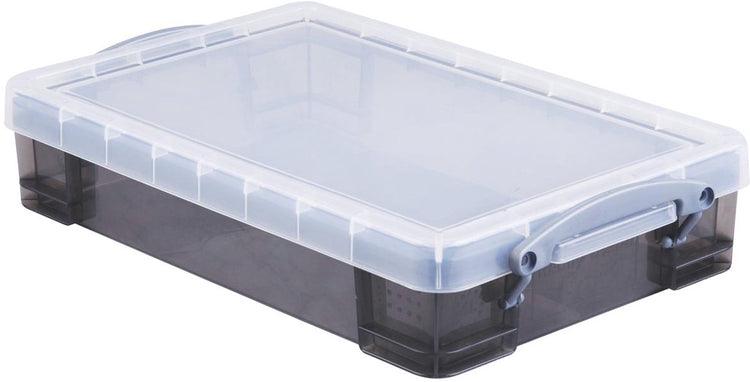 Wirklich nützliche Boxen, wirklich nützliche Box 4 Liter transparenter Rauch