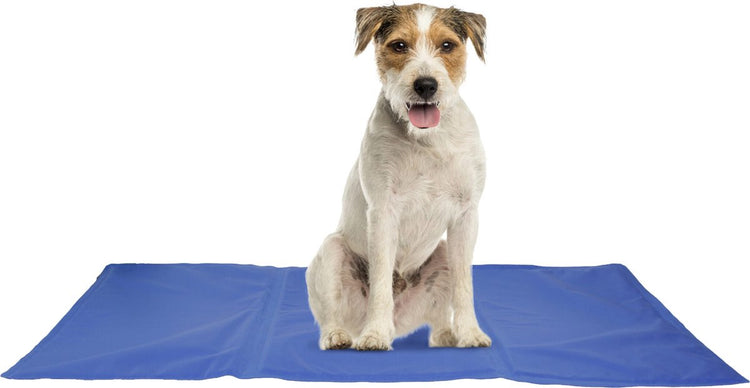 Flamingo Kühlmatte Hund – frostig – Kühlmatten für Hunde – Kühlmatte Katze – Kühlmatte für Hunde – Kühlmatte für Katzen – 70x50 cm – blau