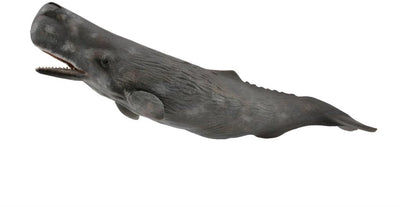 Collecta Figur - Pottwal - (XL) - Meerestiere - handbemalt - Miniatur