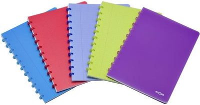 Atoma trendiges Notizbuch | ft a5 | 144 Seiten | gefüttert | transparentes Rot