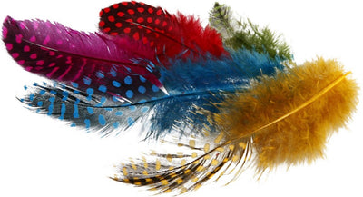Creativ Company Perlhuhnfedern, ca. 100 Stück, verschiedene Farben, 3 g 1 Box