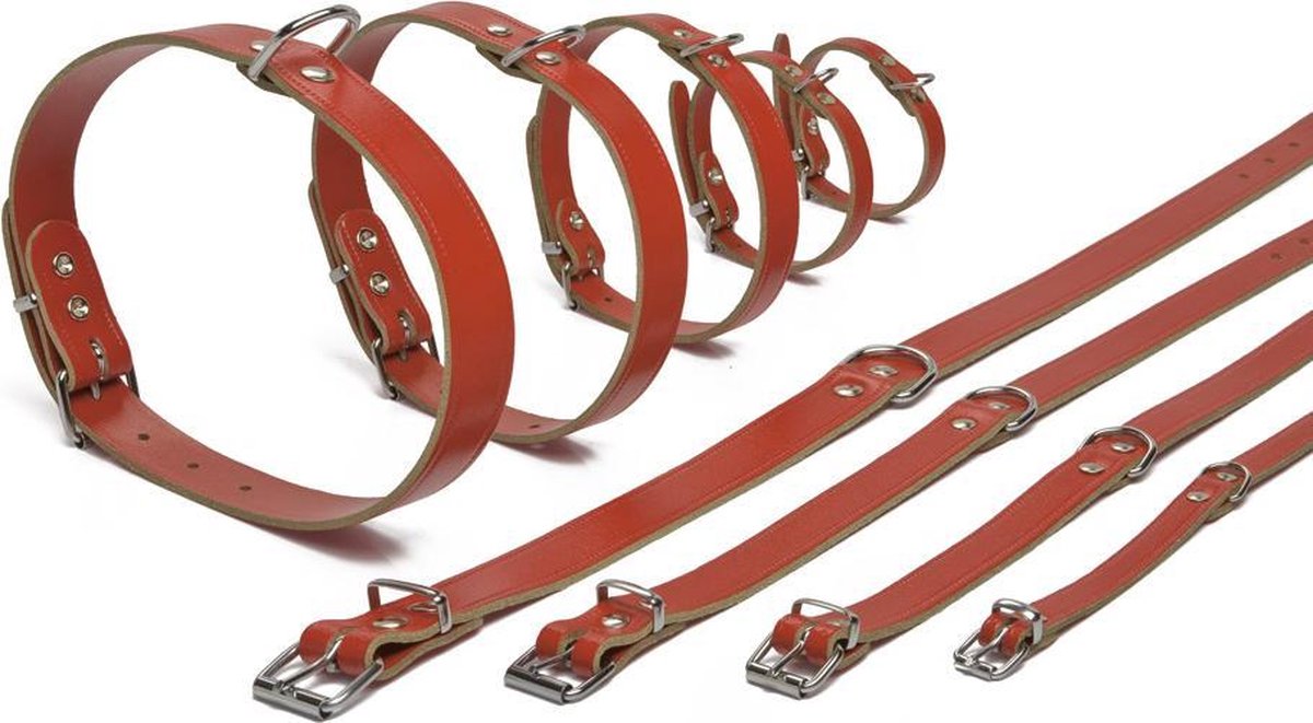 Beeztees - Hundehalsband - Leder - Rot - 37,5-46,5 cm x 20 mm