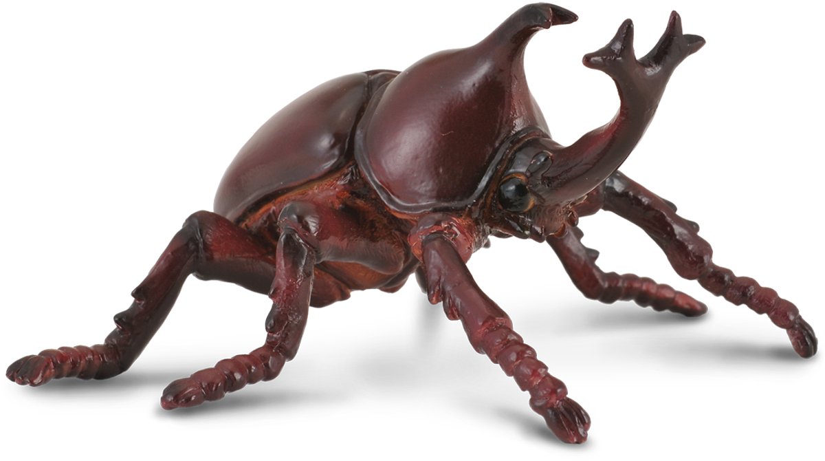 Collecta Figur - Nashornkäfer - (m) - handbemalt - Miniatur