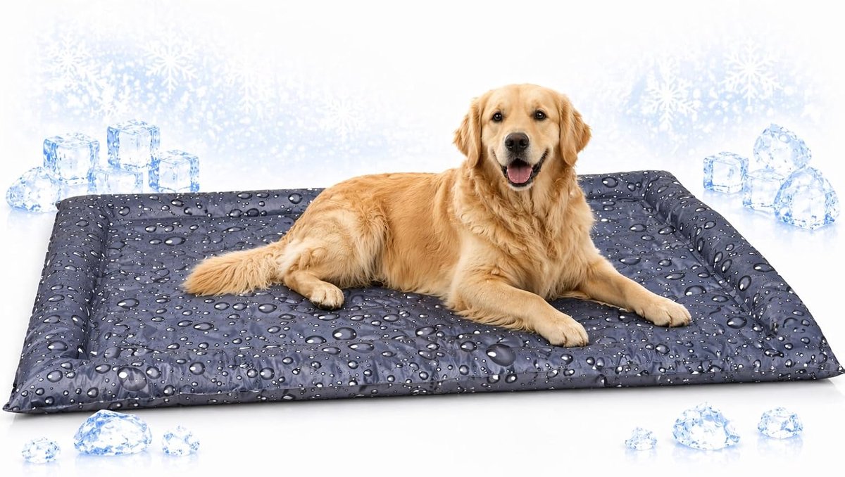 Flamingo Kühlmatte Hund – kühlendes Hundebett – XL – 116 x 76 x 6 cm – Lakritzgrau – extra großes selbstkühlendes Hundebett für heiße Tage