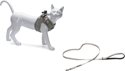Beeztees Parinca Katzengeschirr mit Laufleine – Katzengeschirr – Nylon – Hellgrau – Brustumfang 31–37 cm – Halsumfang 23–28 cm