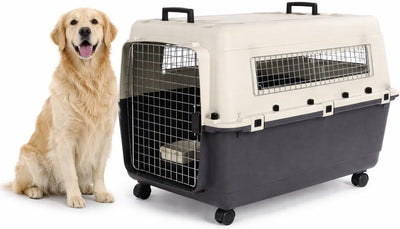 Flamingo Reisebox Hund - Autobox - Transportbox Hund - Fomad dunkelgrau XL (60x90x68,5 cm) - Kunststoff - mit Metalltür-Sicherheitsschloss - inklusive Futter- und Trinktopfrädern -