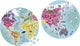Janod - Puzzle - die Welt - um uns herum