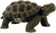 Bullyland-Schildkröte (63553)