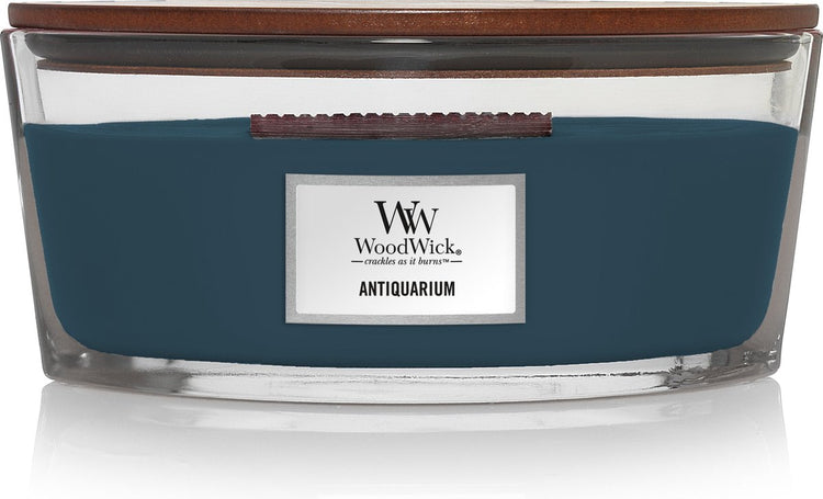 Woodwick Heartwick Flame Ellipse Duftkerze – Antiquarium – 50 Brennstunden
