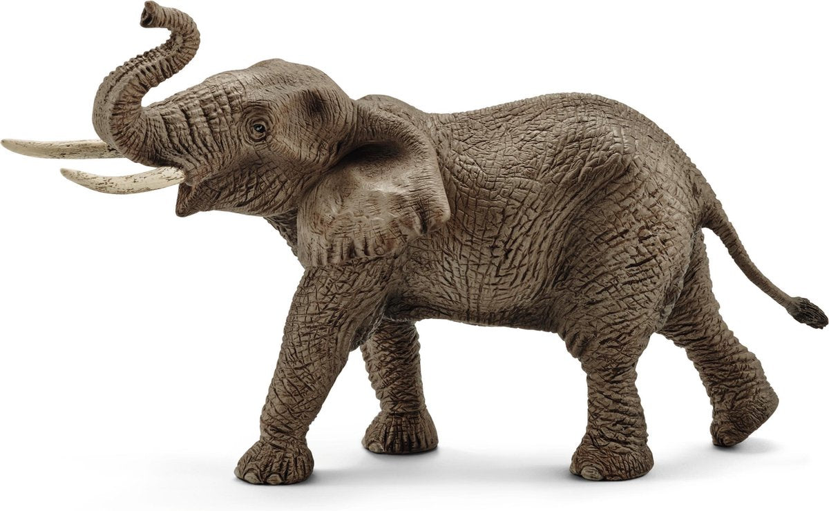 Schlich Wild Life African Elephant Mann 14762