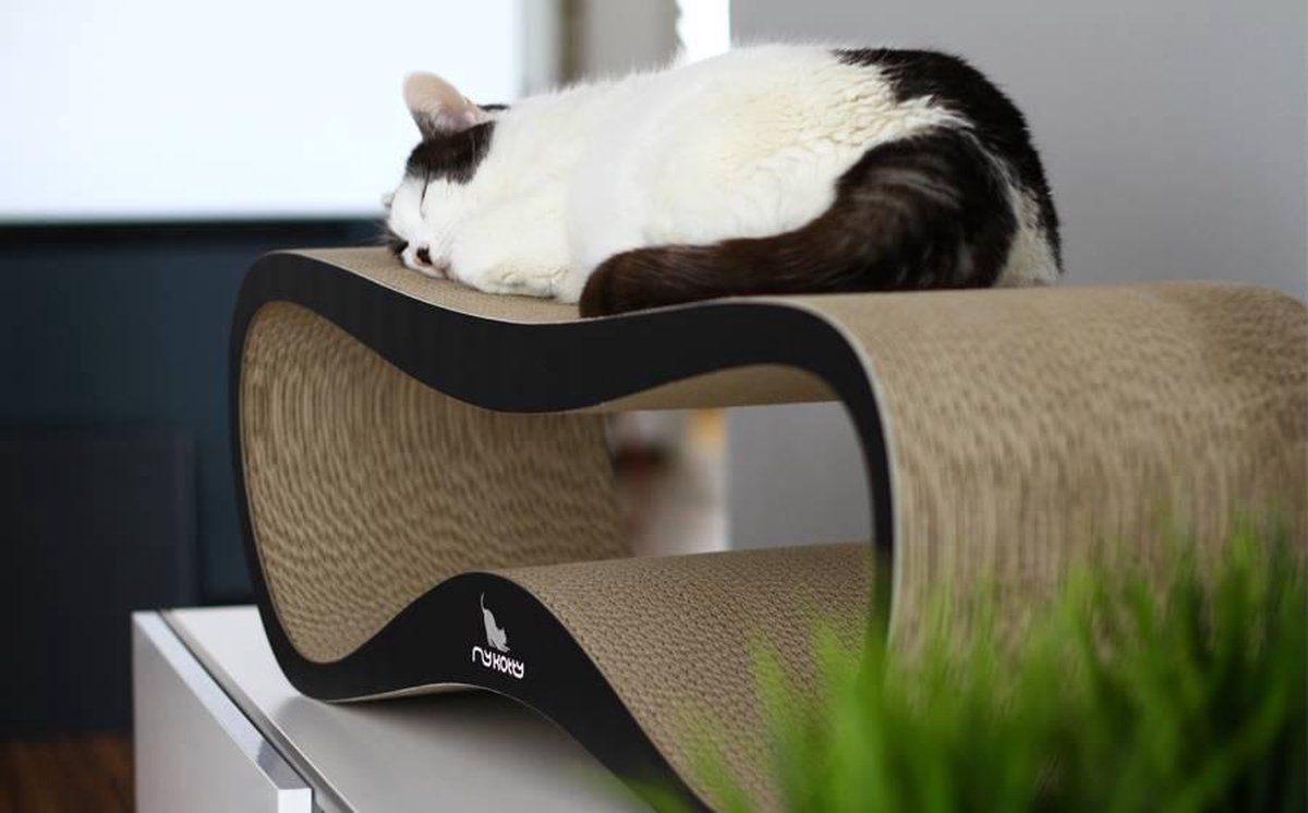 Mykotty Lazy – Kratzbaum – Schwarz – 75 cm x 25 cm