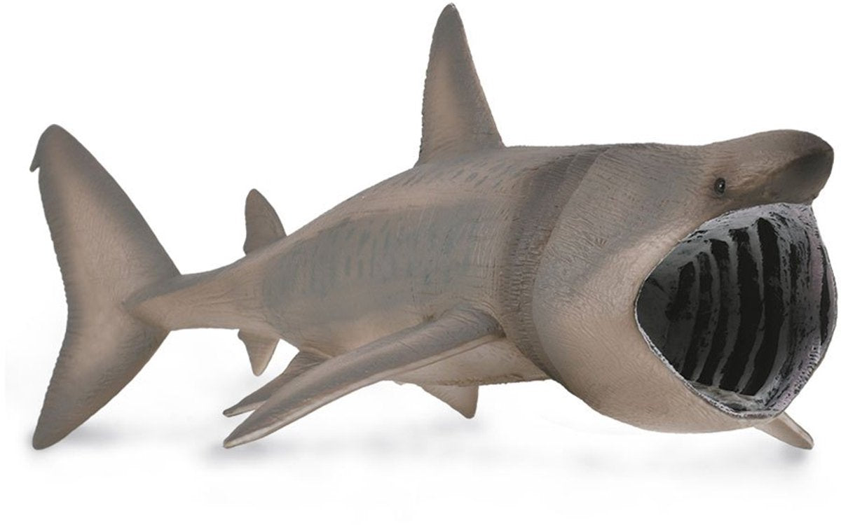 Collecta