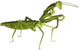 Fridolin 3D-Papiermodell - Gottesanbeterin.