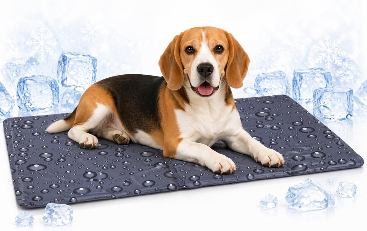 Flamingo Kühlmatte Hund – Kühlmatte Katze – M – 70x50 cm – Lakritzgrau – kühlende Sommermatte mit Gel und Schaumstoff – wasserdicht