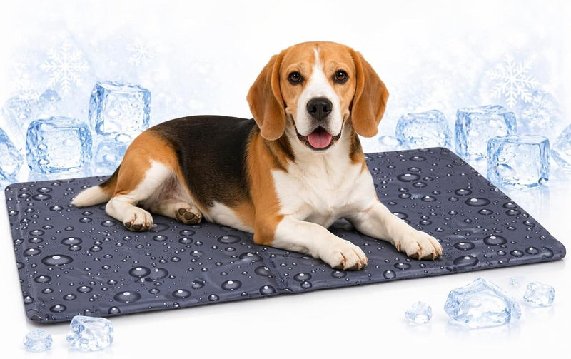 Flamingo Kühlmatte Hund – Kühlmatte Katze – M – 70x50 cm – Lakritzgrau – kühlende Sommermatte mit Gel und Schaumstoff – wasserdicht