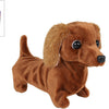 Bring mich nach Hause, interaktiver Laufhund-Dackel – 19 cm