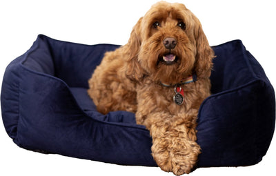 Rosewood Luxus-Hundebett aus Samt – klein – weiches und bequemes Hundebett – Marineblau – stilvolle Liege für Hunde und Katzen – 46 x 36 cm