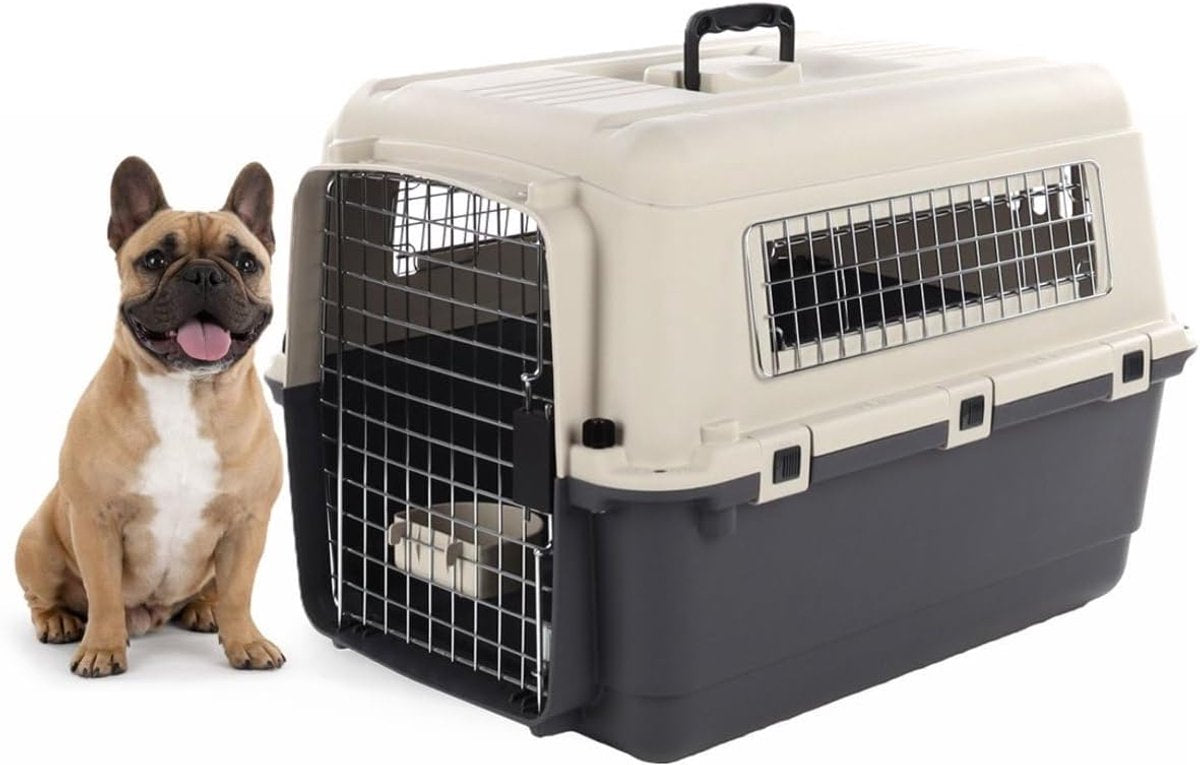 Flamingo Reisebox Hund – Autobox – Transportbox Hund – Fomad dunkelgrau m (53x67x47 cm) – Kunststoff – mit Metalltür-Sicherheitsverschluss – inklusive Futter- und Trinknapf –