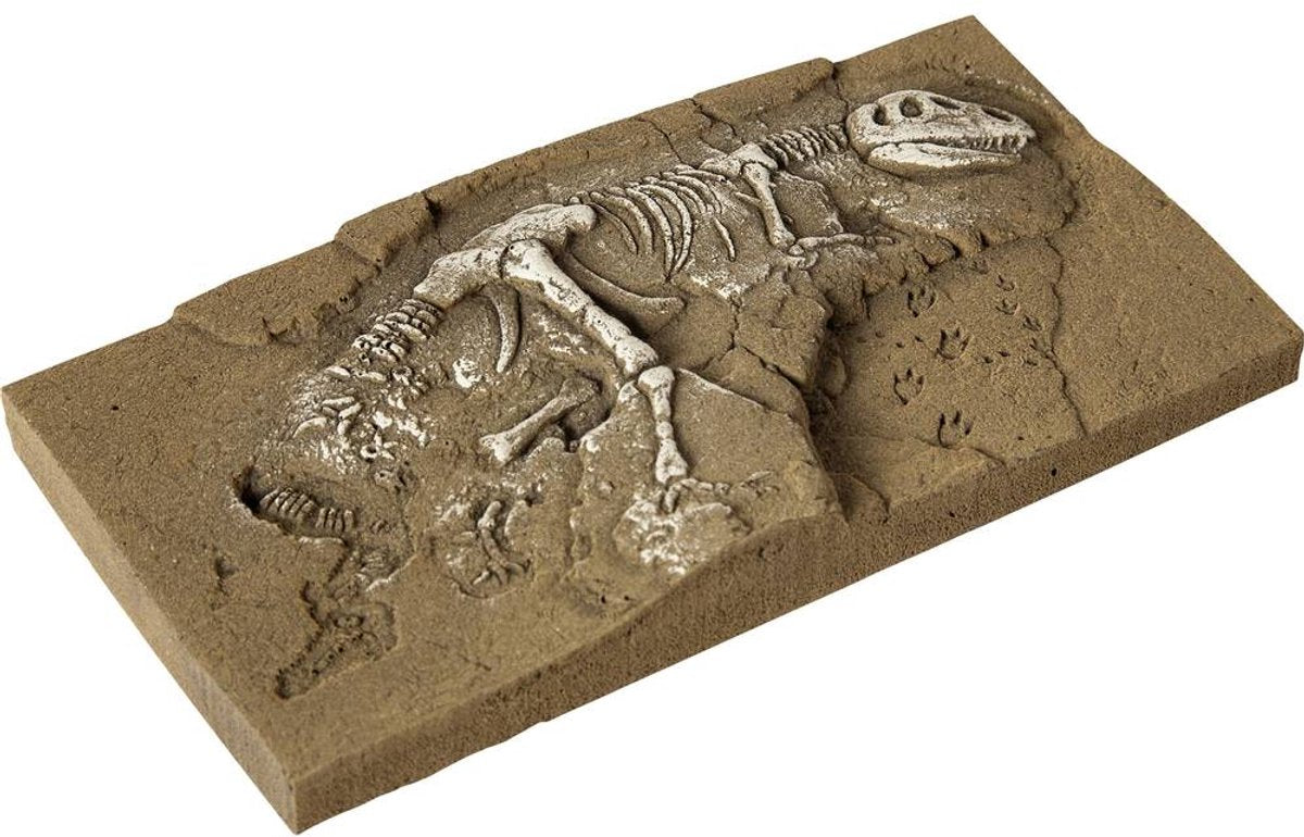 Noch 58614 h0 T-Rex-Ausgrabungs-Fertigmodell