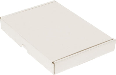 Rathaus-Briefkasten - 210x150x27mm - weiß - 25 Stück - rd-351101-25