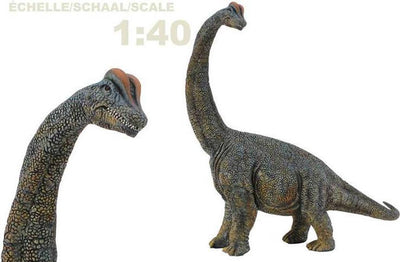 Collecta Figur - Brachiosaurus - 1:40 - Vorgeschichte - handbemalt - Dinosaurier - Miniatur