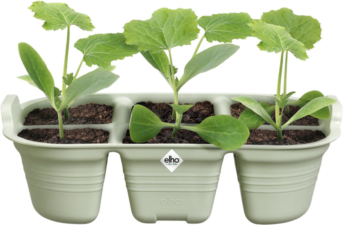 Elho Green Basics Saatschale 22 cm Zubehör – Steingrün