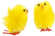 Creativ Company Yellow Osterküken Chenille, 12st.