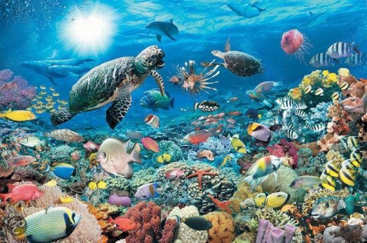 Ravensburger