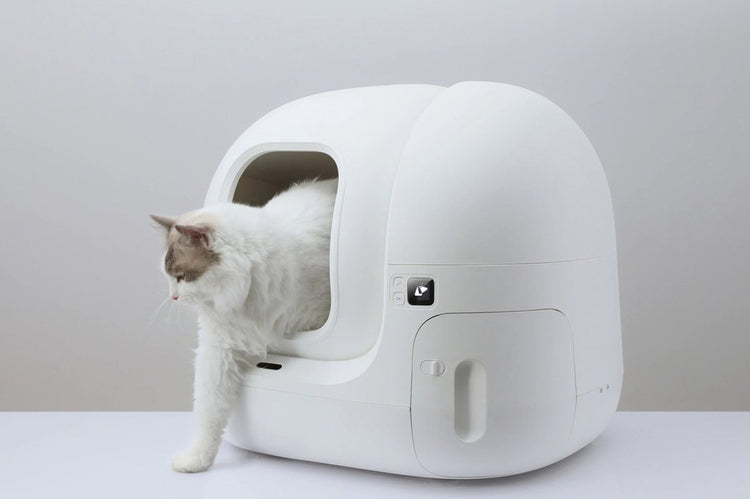 Petkit Pura Max Katzenbox