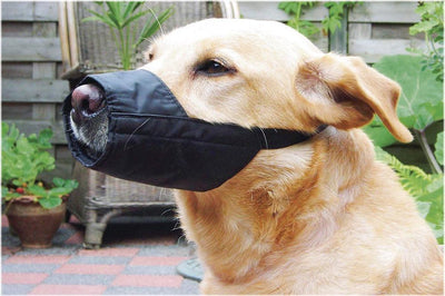 Beeztees Sicherheitsmaulkorb Hund L – 18,5 cm – Maulkorb – Nylon – Schwarz