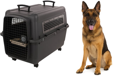 Flamingo Reisebox Hund – Autobox – Transportbox Hund XXL 101x67x81 cm – Transportkäfig Lanta dunkelgrau