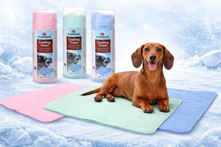 Flamingo Kühlmatte Hund – Kühltuch Hund – Kühlendes Kühlhandtuch für Hunde – neblig, mehrere Farben – 66 x 43 cm