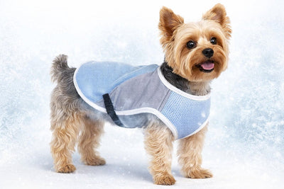 Flamingo Kühljacke Hund - Kühlweste Hund - Kühlweste Hund - S - 30 cm - Frozen Blue Grey - Kühlende Sommerweste für Hunde mit Klickverschluss