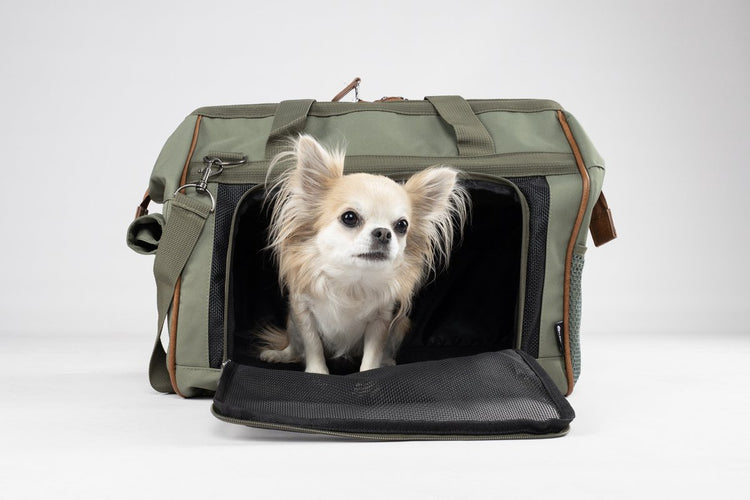 Flamingo Hundetragetasche Hannah Green – bequeme Hundetragetasche mit Belüftungsnetz, Aufbewahrungsfächern und Karabiner – 47 x 26,5 x 34 cm
