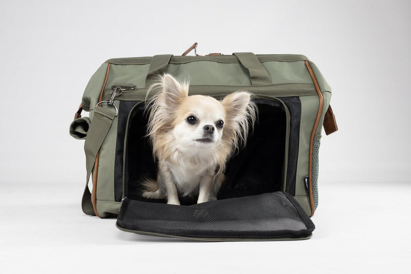 Flamingo Hundetragetasche Hannah Green – bequeme Hundetragetasche mit Belüftungsnetz, Aufbewahrungsfächern und Karabiner – 47 x 26,5 x 34 cm