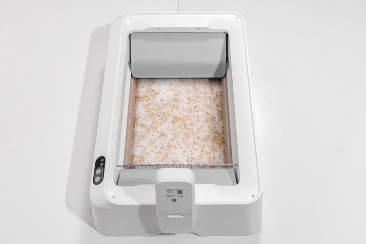 Petkit – Urinmonitor-Kristallstreu-Set – pH-Erkennung – 4 Packungen – Tiergesundheit – Katzentoilette