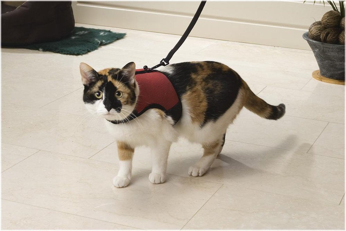 Beeztees Gehgeschirr Komfort – Katzengeschirr