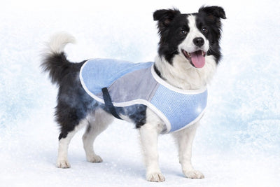 Flamingo Kühljacke Hund – Kühlweste Hund – Kühlweste Hund – XL – 45 cm – Frozen Blue Grey – verstellbarer kühlender Hundemantel für den Sommer
