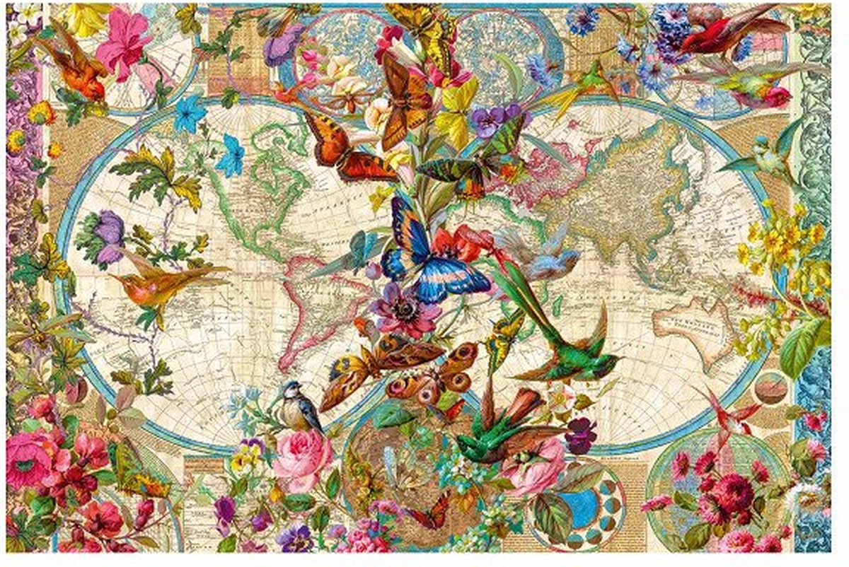 Plora und Fauna World Map, 3000st.
