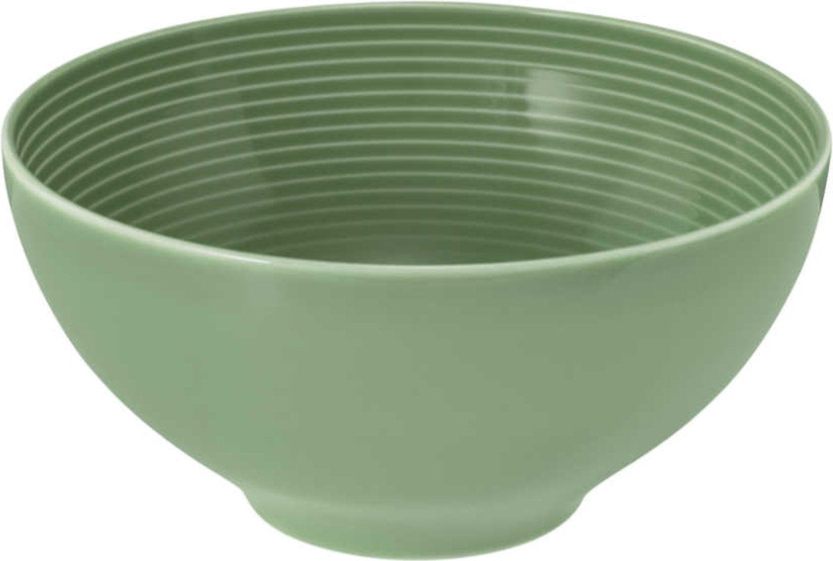 Seltmann Weiden schlägt salbeigrüne Schale ca. 15,5 cm