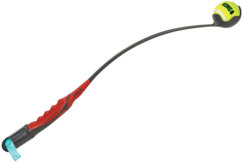 Kong Handipod -Startstift mit Poop -Beutelhalter