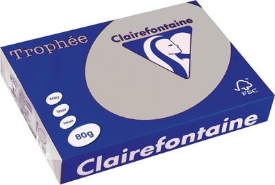 Clairefontaine Trophäe-Farbpapier, A4, 80 g, 500 Blatt, hellgrau