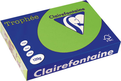 Clairefontaine Trophäe intensiv, farbiges Papier, A4, 120 g, 250 Blatt, grasgrün