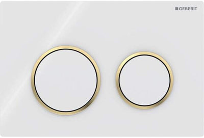 Geberit Omega20-Bedienplatte - 2-Tasten-Unterputz - rund - Weißgold weiß