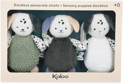Kaloo Reize – Sinneshunde