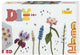 Hama DIY Art Flower Bouquet (6.000.)