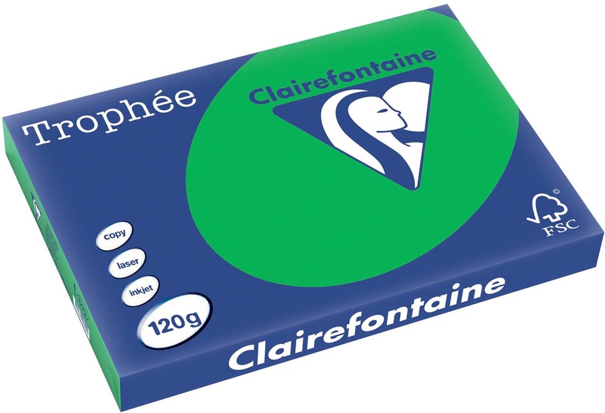 Clairefontaine Trophäe intensiv A3 Billardgrün 120 g 25 Blatt