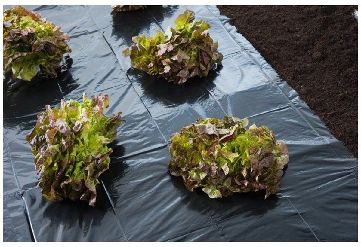 Natur – Mulchfolie 3 x 4 m – 100µ – UV-behandelt